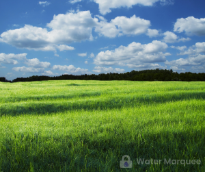 A watermark is a digital image
