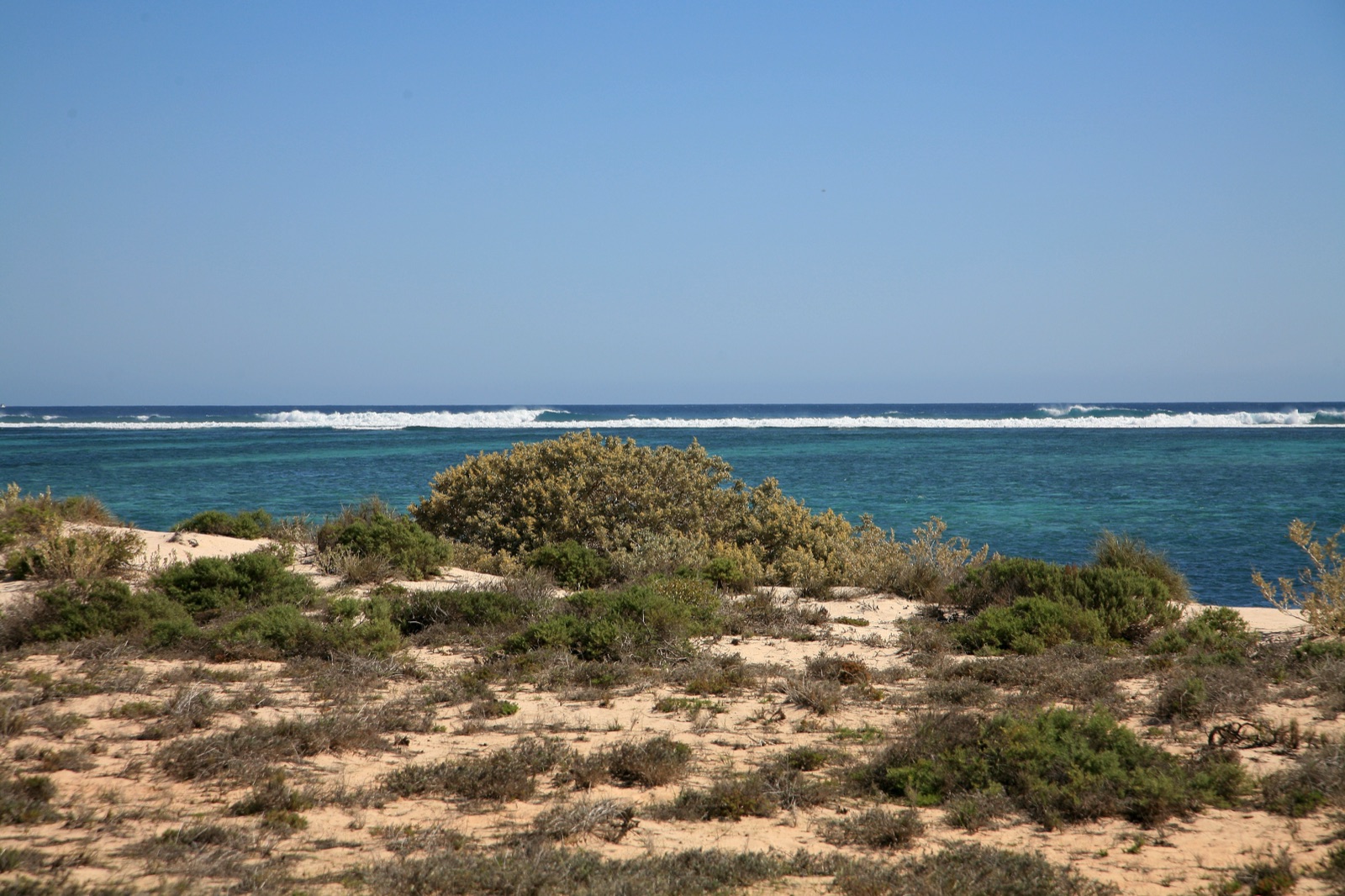 Coral and turquoise water of Ningaloo Reef, Western Australia, with the arid coastline in the background