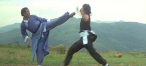  Kung Fu Movies Taught Me About Photography